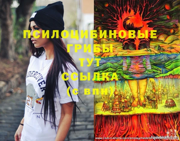 прущая мука Вязники